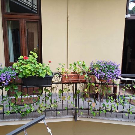 La Terrazzina, Silenzioso, Zona Piazza Gran Madre Leilighet Torino Eksteriør bilde